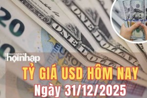 Tỷ giá USD hôm nay 31/12/2025: Đồng USD thế giới tăng nhẹ