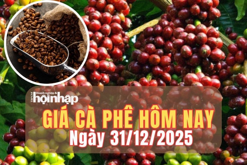 Giá cà phê hôm nay 31/12/2025: Giá cà phê trong nước quay đầu tăng