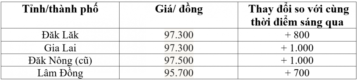 Bảng giá cà phê trong nước hôm nay 31/12/2025