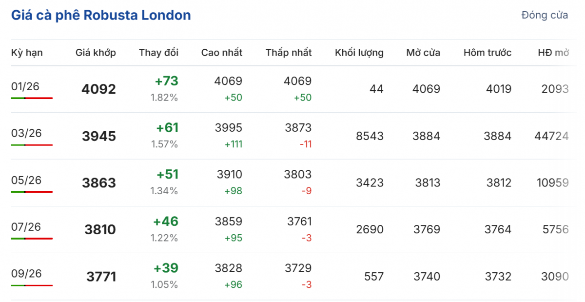 Cập nhật: 31/12/2025 lúc 06:10:01