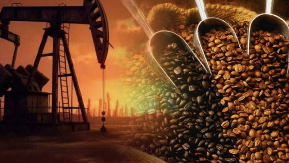 Thị trường cà phê cuối năm đối mặt “bài toán kép” nguồn cung và thời tiết