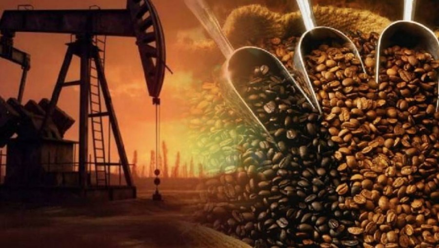 Thị trường cà phê cuối năm đối mặt “bài toán kép” nguồn cung và thời tiết