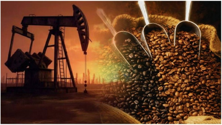 Thị trường cà phê cuối năm đối mặt “bài toán kép” nguồn cung và thời tiết