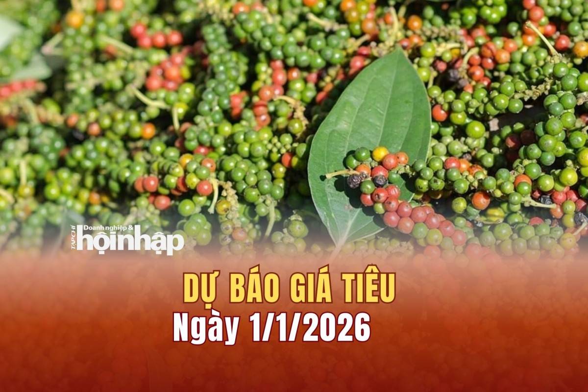 Dự báo giá tiêu 31/12: Giá tiêu trong nước có xu hướng bật tăng cao