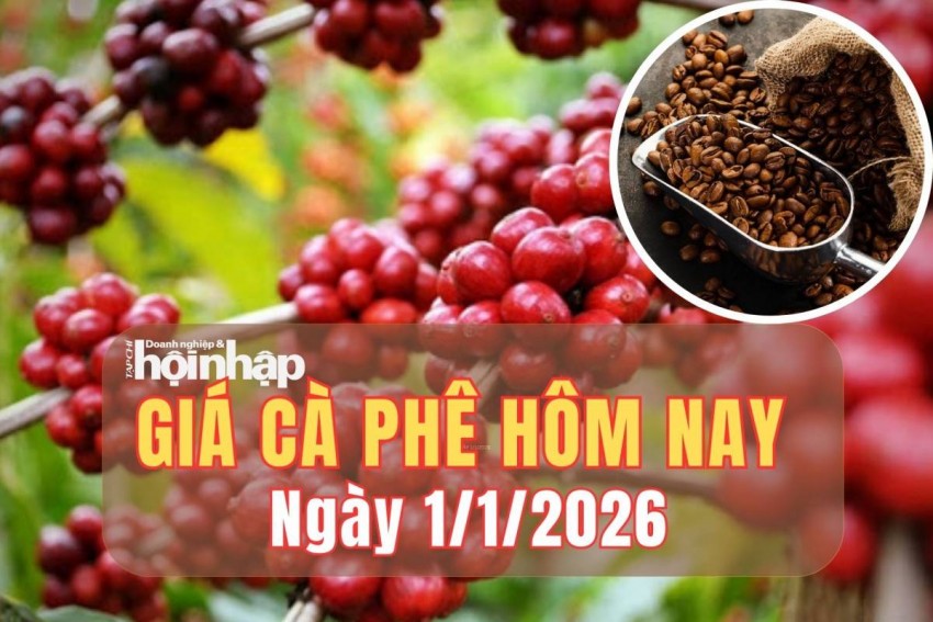 Giá cà phê hôm nay 1/1/2026: Giá cà phê Tây Nguyên vượt mốc 97.800 đồng/kg, robusta thế giới bứt phá