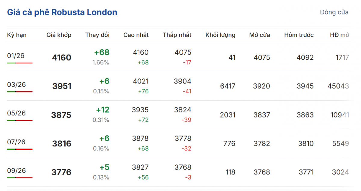 Cập nhật: 01/01/2026 lúc 06:10:01