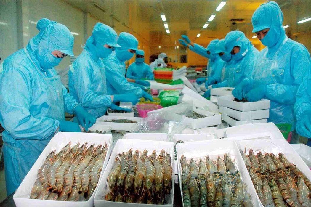 Xuất khẩu thủy sản Việt Nam sau mốc 11 tỷ USD: Hướng đi nào cho năm 2026?