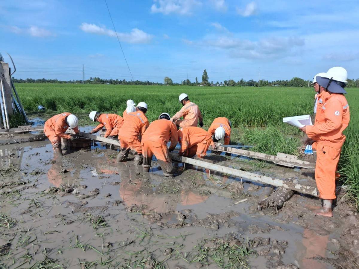 Lực lượng công nhân EVNSPC được điều động chi viện cho các công trình đầu tư xây dựng vào những ngày cuối năm 2025, để đưa các dự án kịp về đích đúng tiến độ.