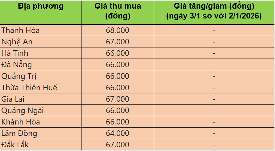 Bảng giá heo hơi tại miền Trung - Tây Nguyên hôm nay 3/1/2026