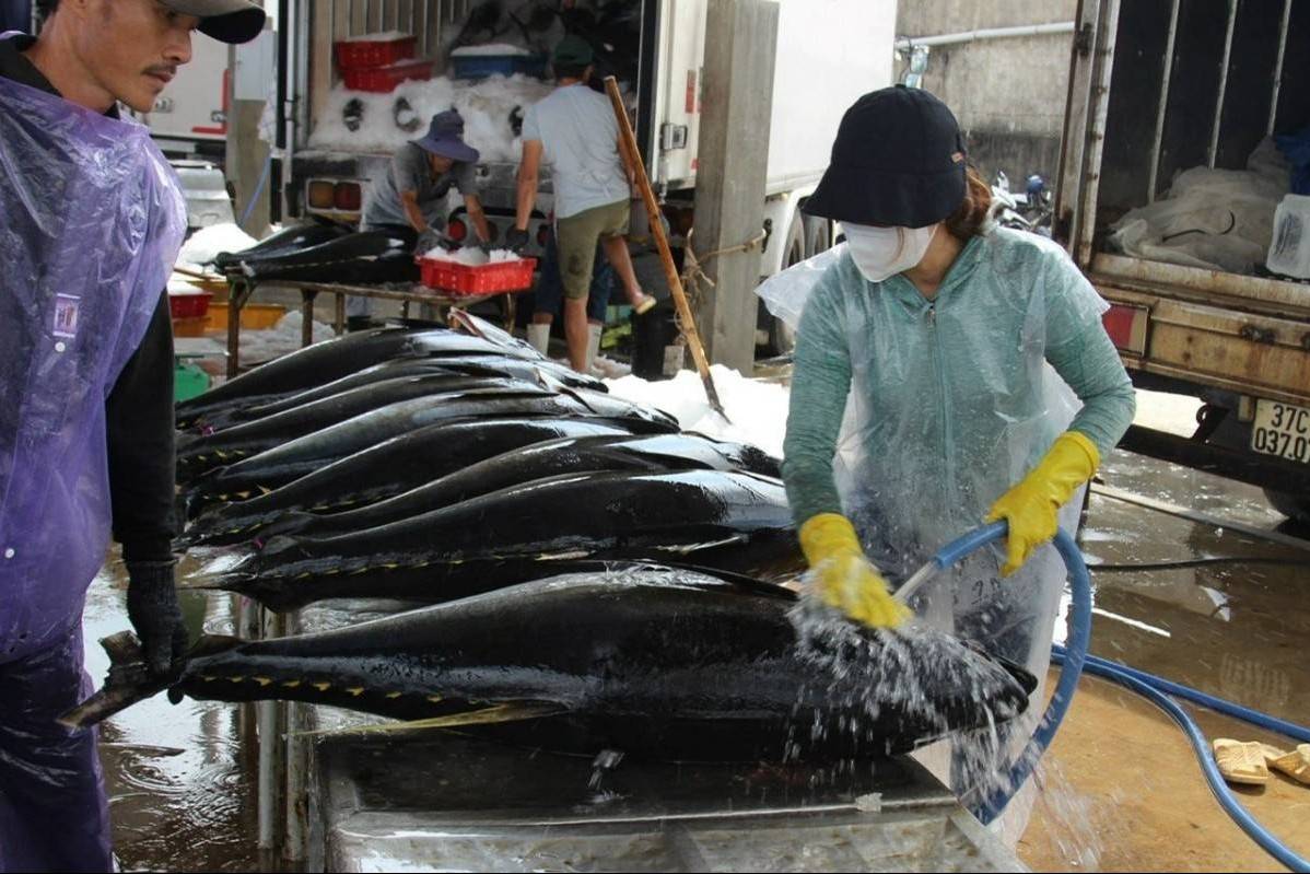 Những loại cá chứa nhiều thủy ngân, cần cẩn trọng khi ăn