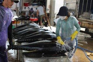 Những loại cá chứa nhiều thủy ngân, cần cẩn trọng khi ăn