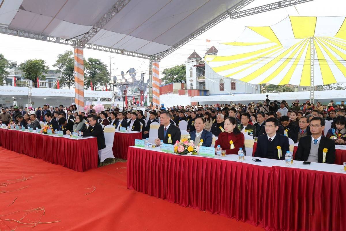 40 “cô bò sữa” tranh tài Hoa hậu bò sữa Mộc Châu 2026