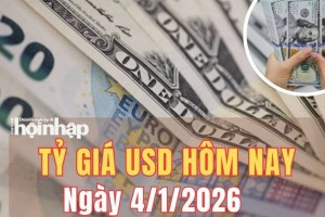 Tỷ giá USD hôm nay 4/1/2025: Đồng USD suy yếu xen kẽ nhịp phục hồi nhẹ