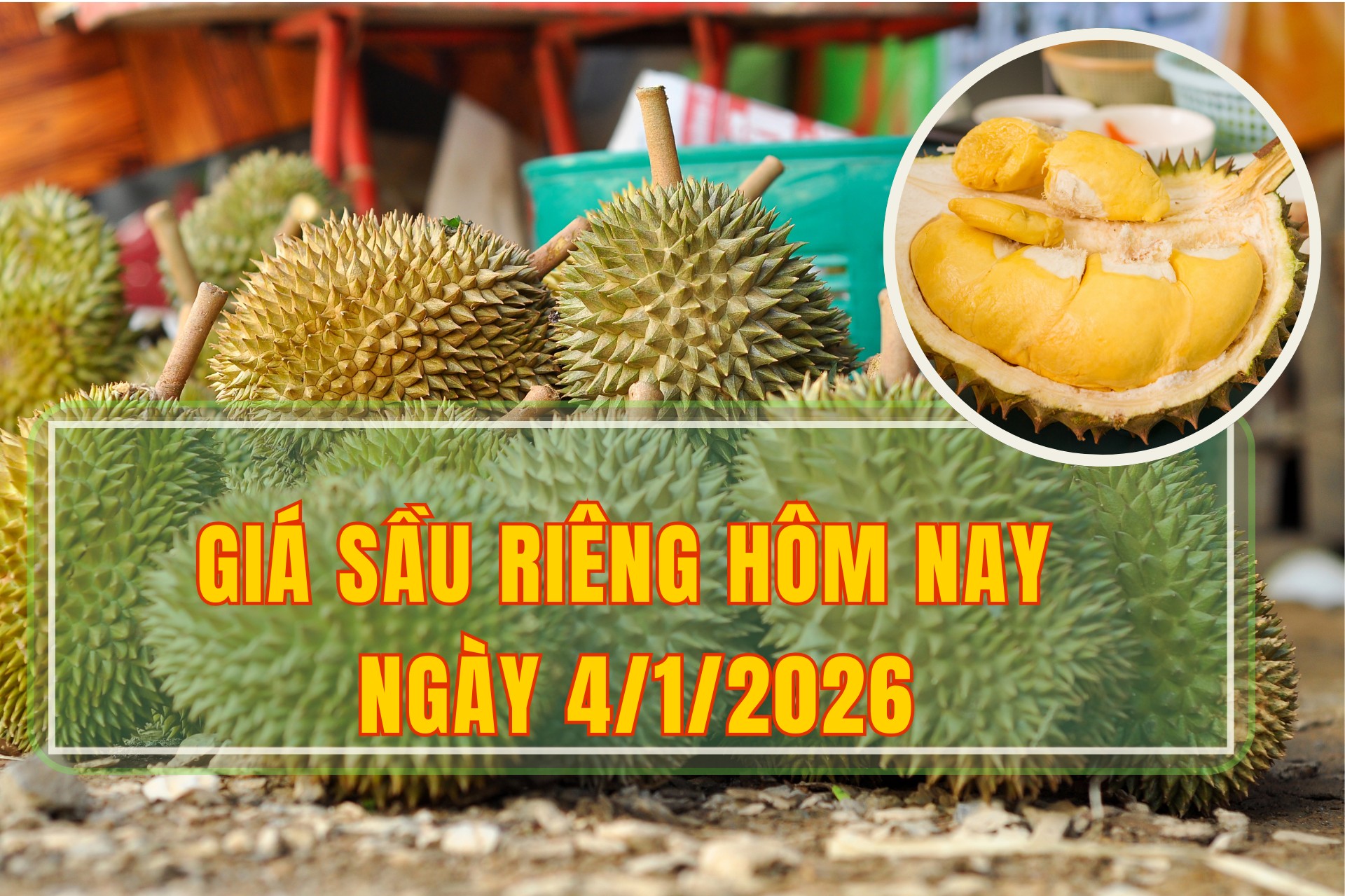 Giá sầu riêng hôm nay 4/1: Sầu riêng Thái tăng giá lên mức 105.000 đồng/kg