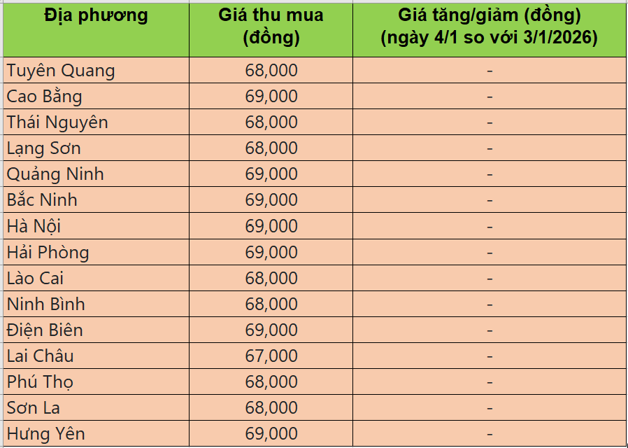 Bảng giá heo hơi tại miền Bắc hôm nay 4/1/2026