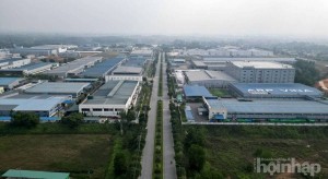 Phú Thọ phân cấp thẩm quyền cấp phép người lao động nước ngoài