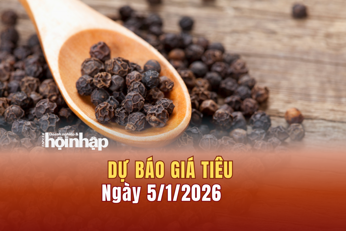 Dự báo giá tiêu 4/1: Giá tiêu trong nước và thế giới duy trì xu hướng tăng