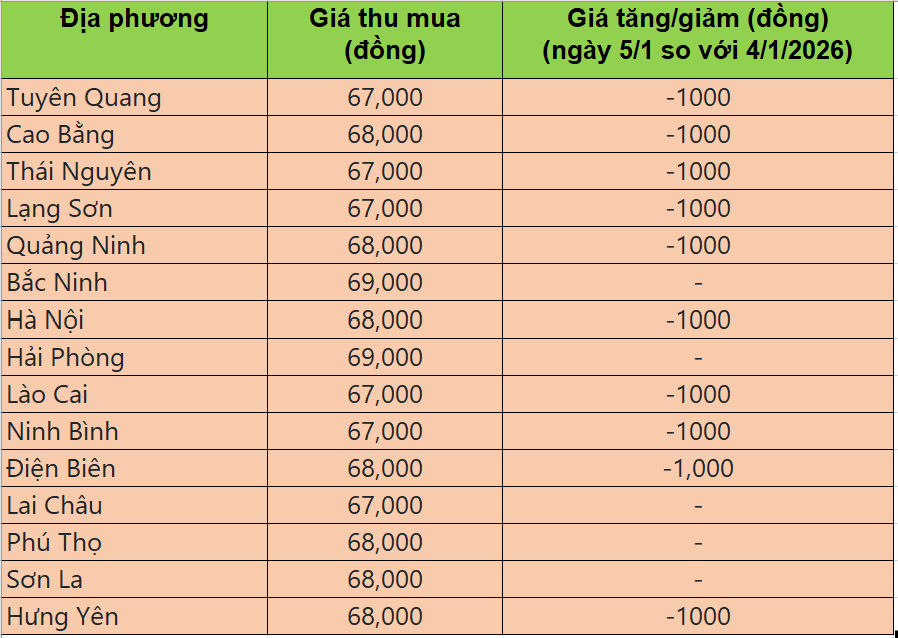 Bảng giá heo hơi tại miền Bắc hôm nay 5/1/2026