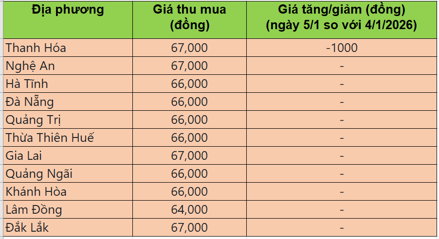 Bảng giá heo hơi tại miền Trung - Tây Nguyên hôm nay 5/1/2026