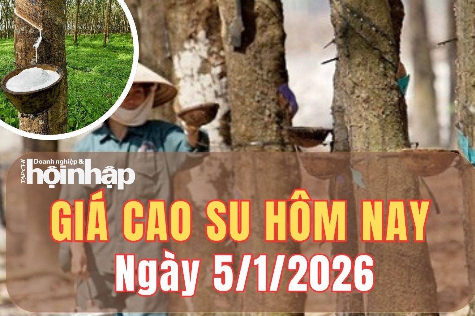 Giá cao su hôm nay 5/1/2026: Giá cao su thế giới “nín thở” chờ tín hiệu mới đầu năm