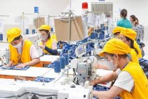 Gần 300.000 doanh nghiệp thành lập mới và quay trở lại hoạt động trong năm 2025