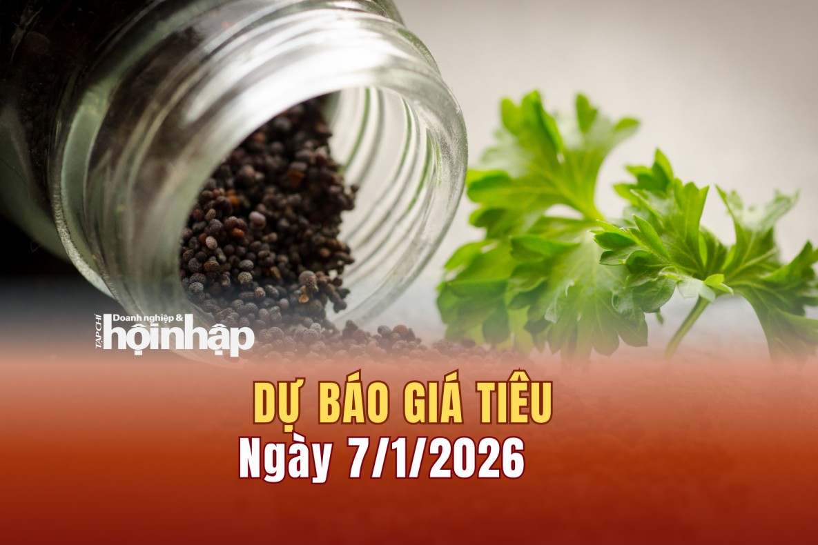 Dự báo giá tiêu 7/1: Giá tiêu trong nước tăng "vọt"