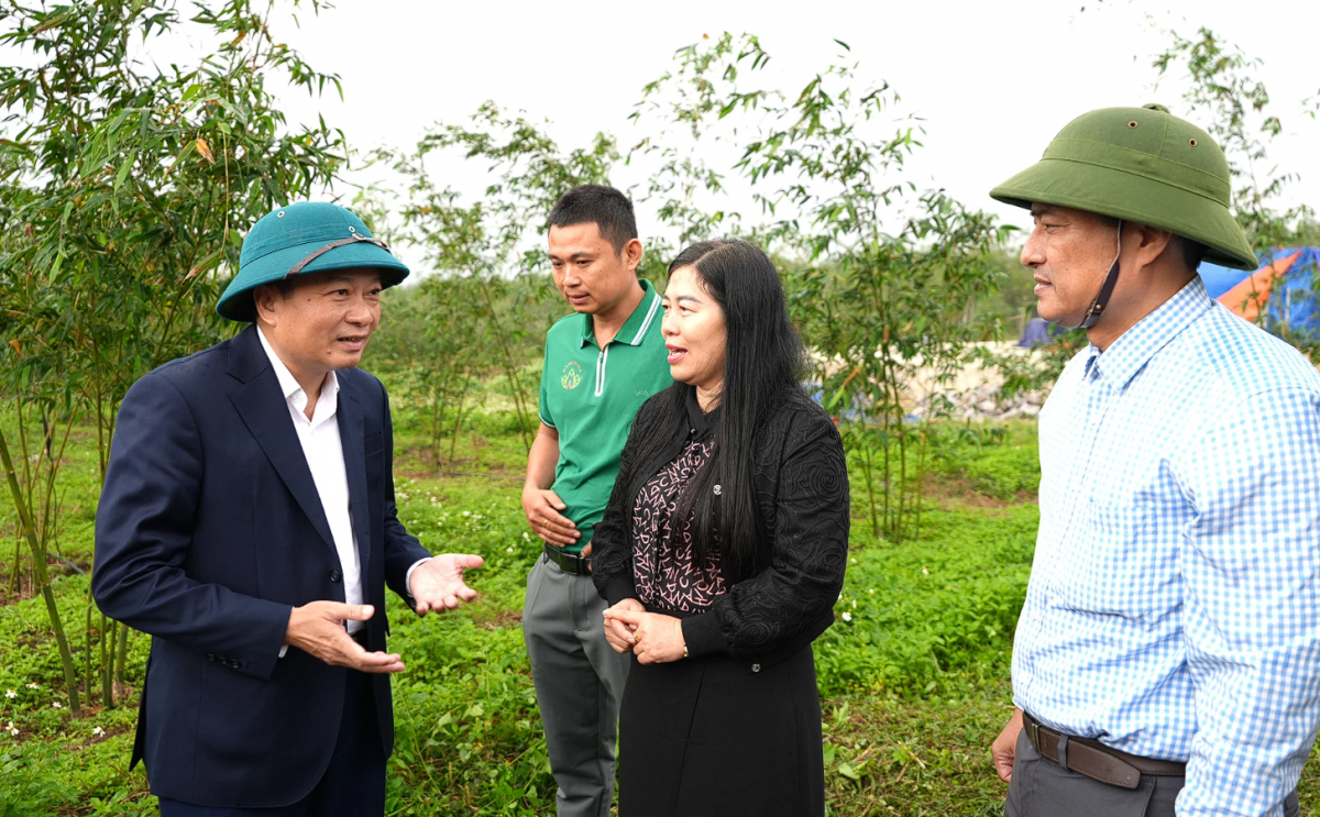 Quảng Trị: Chủ tịch UBND tỉnh kiểm tra sản xuất đầu năm, thúc đẩy doanh nghiệp phát triển bền vững