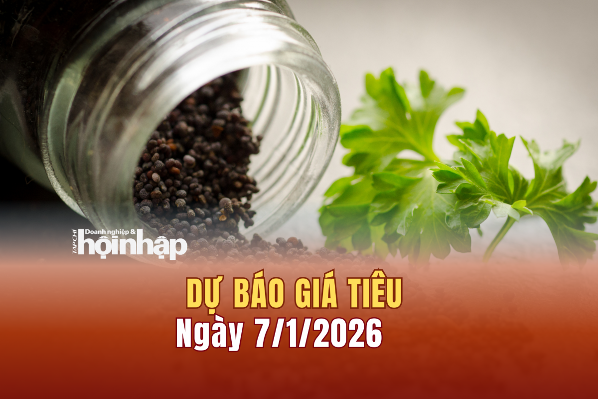 Dự báo giá tiêu 6/1: Giá tiêu trong nước có xu hướng tăng cao