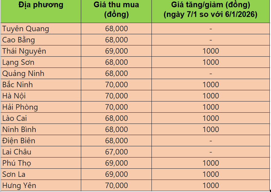 Bảng giá heo hơi tại miền Bắc hôm nay 7/1/2026