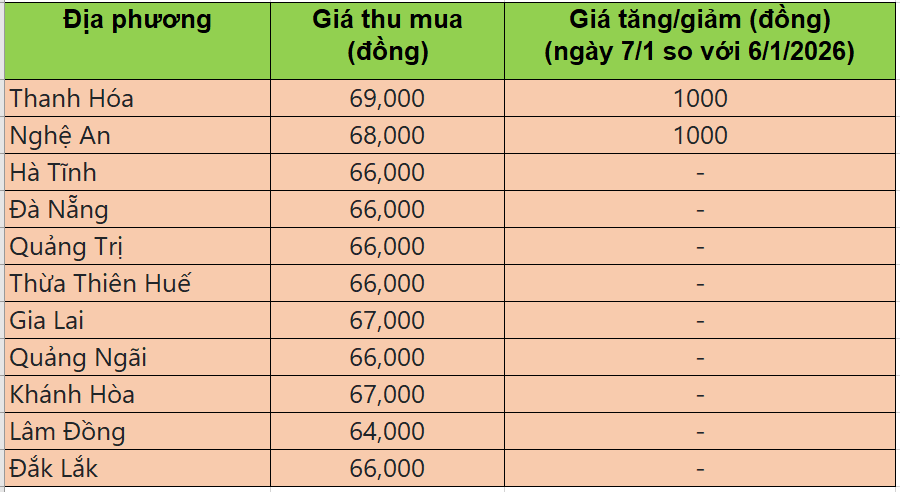 Bảng giá heo hơi tại miền Trung - Tây Nguyên hôm nay 7/1/2026