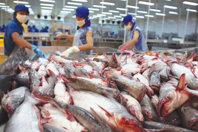 Thủy sản vượt mốc 11 tỷ USD xuất khẩu: Nền tảng cho mục tiêu phát triển bền vững