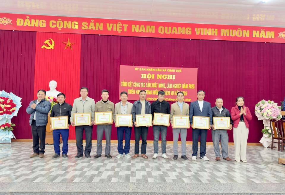 Lào Cai: Xã Châu Quế đẩy mạnh sản xuất nông, lâm nghiệp bền vững năm 2026