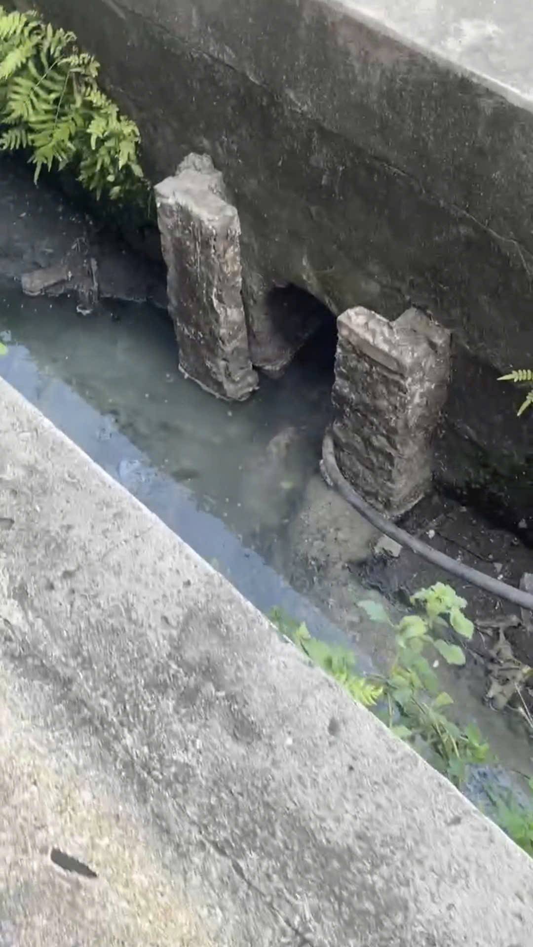 Nước thải ra cống chung từ DN Minh Dũng sản xuất bữa ăn công nghiệp   phường Hồng An Hải Phòng