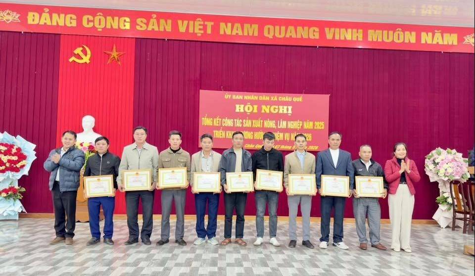 Lào Cai: Xã Châu Quế đẩy mạnh sản xuất nông, lâm nghiệp bền vững năm 2026
