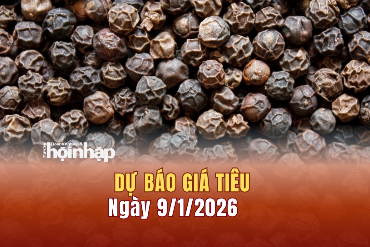 Dự báo giá tiêu 9/1: Giá tiêu trong nước và thế giới có xu hướng tăng mạnh