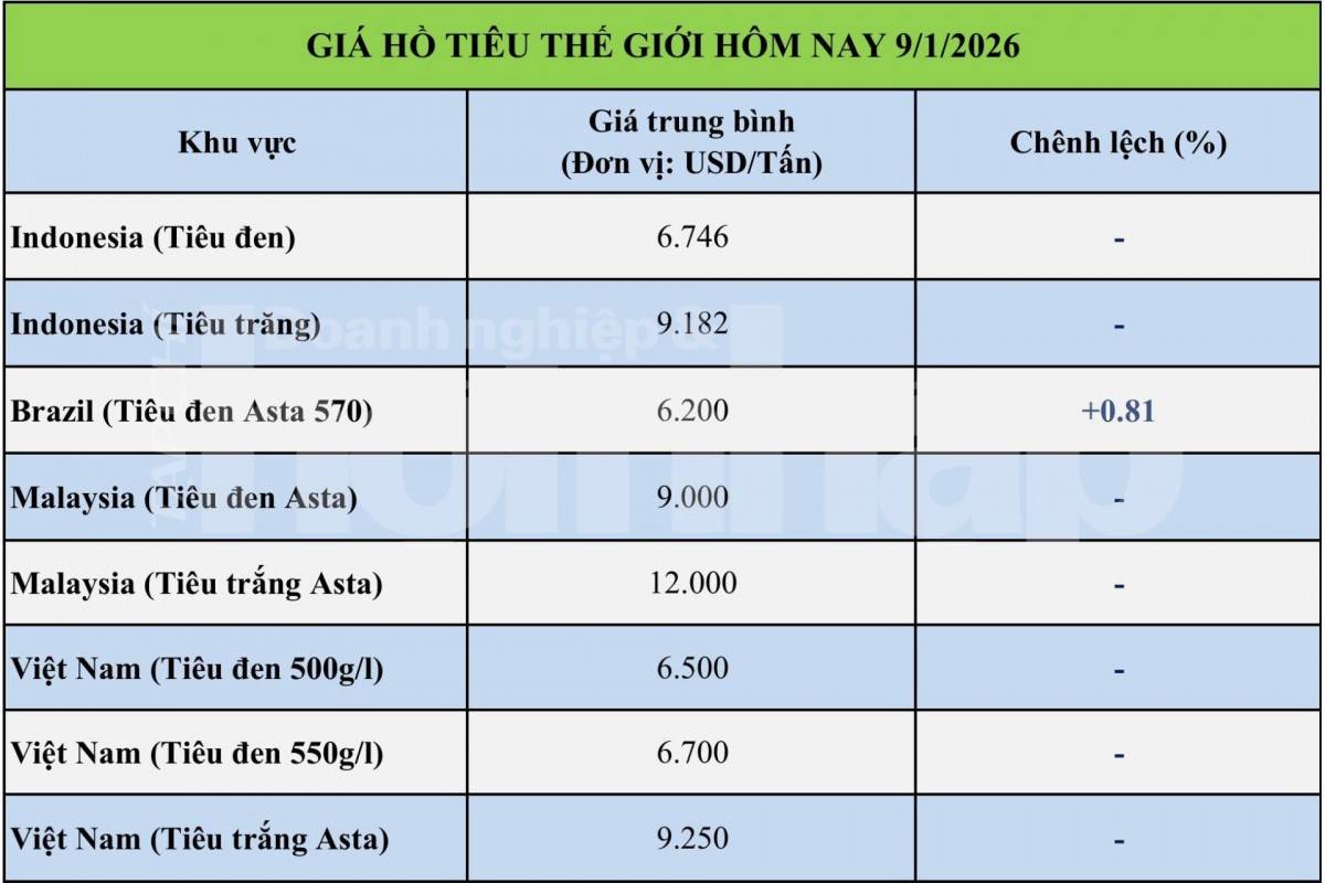 Giá tiêu hôm nay 9/1/2026: