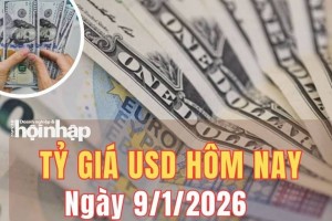 Tỷ giá USD hôm nay 9/1/2025: Đồng USD thế giới tăng nhẹ