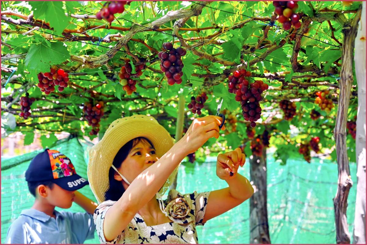 “Sắc xuân đất nước” mừng Tết Bính Ngọ 2026, Di sản văn hóa kết nối hành trình nghệ thuật Xứ Trầm Hương