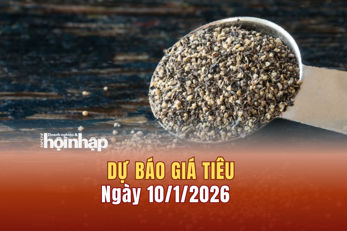 Dự báo giá tiêu 10/1: Giá tiêu trong nước xu hướng bật tăng cao
