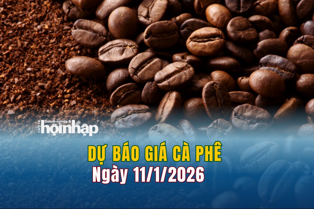 Dự báo giá cà phê 11/1: Cà phê trong nước tiếp đà giảm