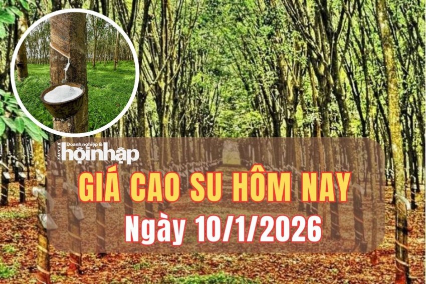 giá cao su