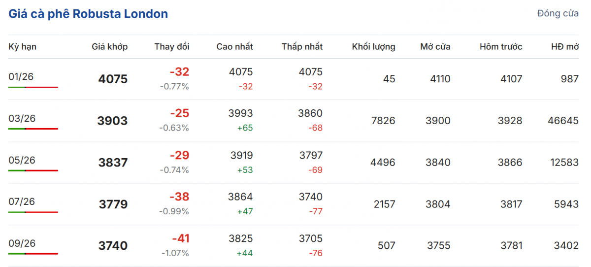 Cập nhật: 12/01/2026 lúc 06:25:01