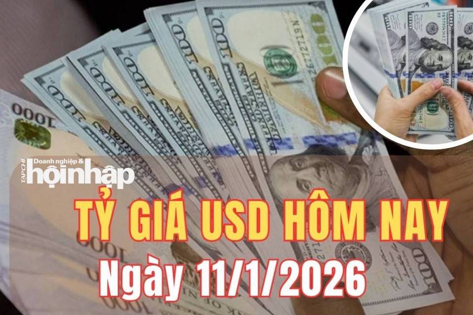 Tỷ giá USD hôm nay 11/1/2025: Đồng USD USD thế giới tăng tuần thứ hai liên tiếp
