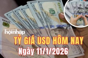 Tỷ giá USD hôm nay 11/1/2025: Đồng USD USD thế giới tăng tuần thứ hai liên tiếp