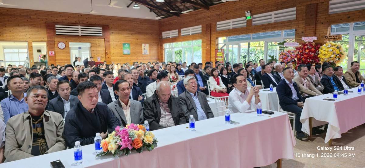 Các đại biểu tham dự hội nghị