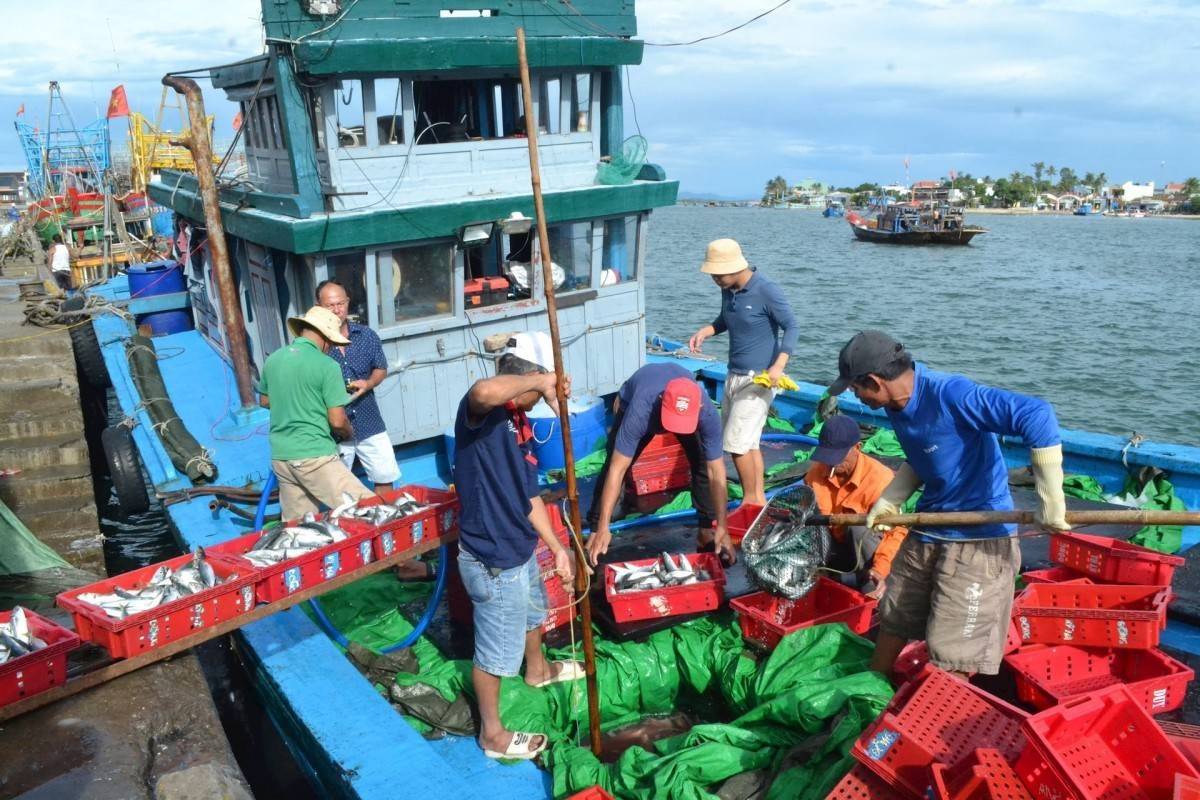 Trước giờ “G” gỡ thẻ vàng IUU: Quyết liệt 9 nhiệm vụ then chốt