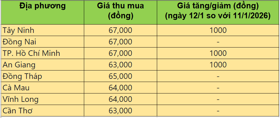 Bảng giá heo hơi tại miền Nam hôm nay 12/1/2026