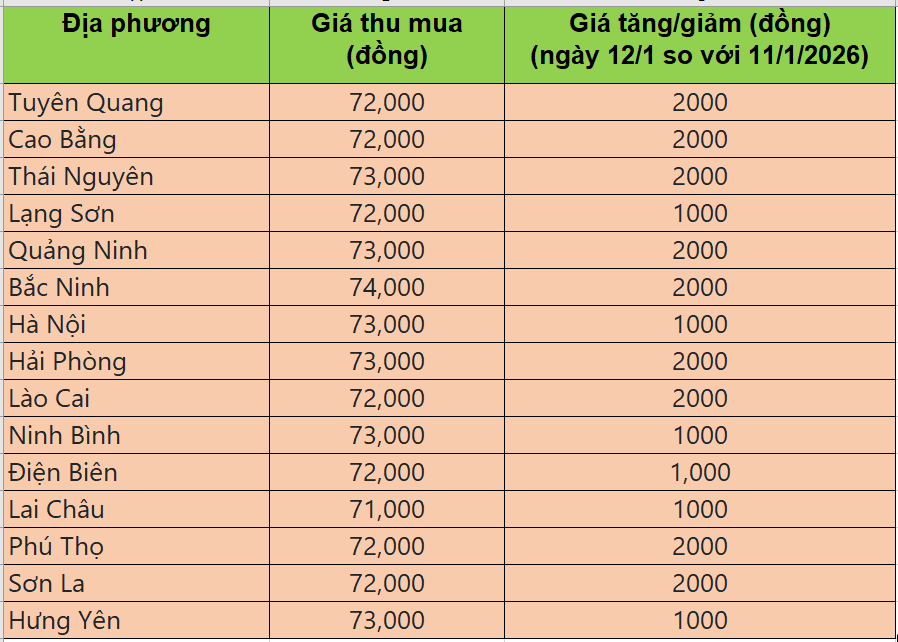 Bảng giá heo hơi tại miền Bắc hôm nay 12/1/2026