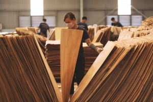 Vượt “gió ngược”, xuất khẩu gỗ cán mốc hơn 17 tỷ USD