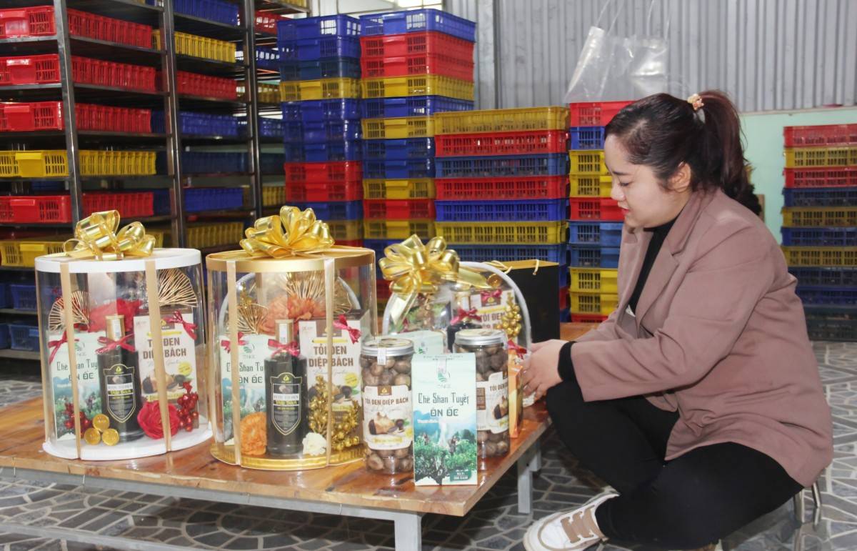 Sơn La ưu tiên lựa chọn sản phẩm OCOP làm quà dịp Tết Bính Ngọ